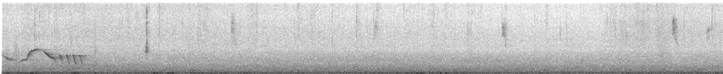 Troglodyte des halliers - ML646707401