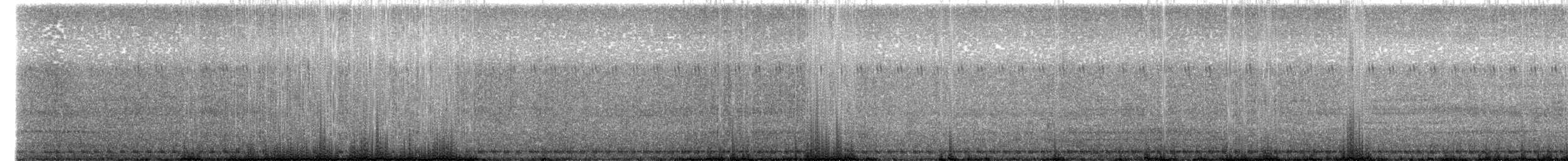 Lesser Nighthawk - ML646708089