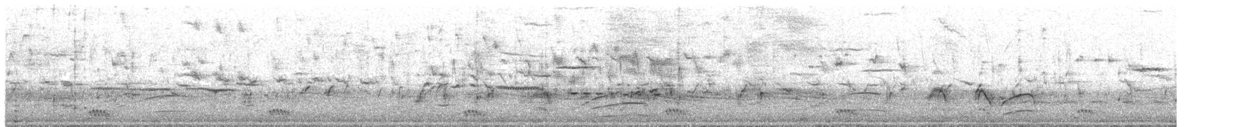 Dot-winged Crake - ML646708604