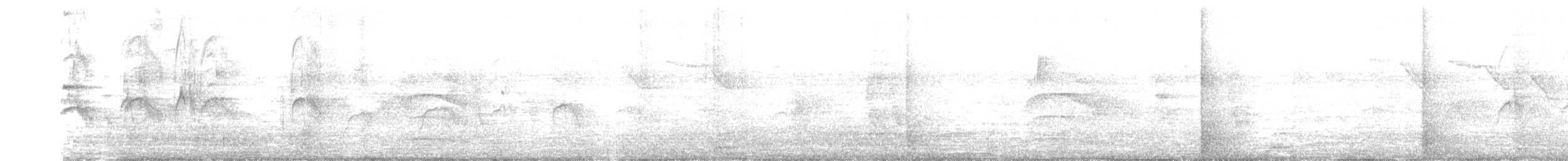 White-collared Swift - ML646709555