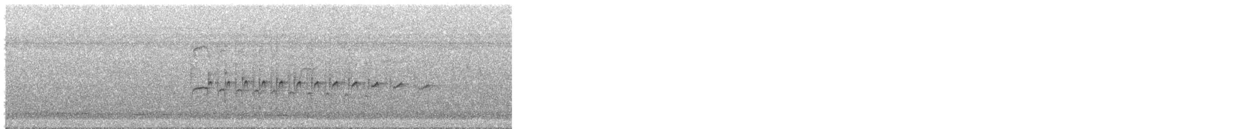 Southern Beardless-Tyrannulet - ML646709585