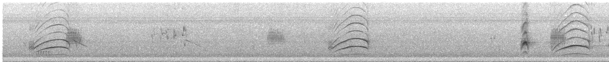 Great Kiskadee - ML646709594