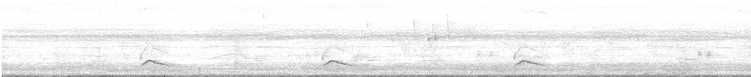 Large Elaenia - ML646709711