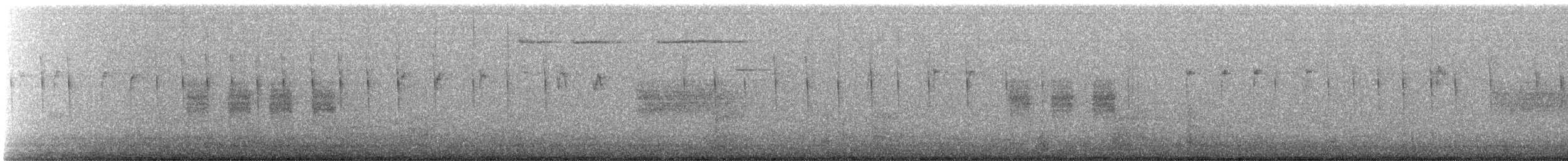 Black-tailed Gnatcatcher - ML646709748