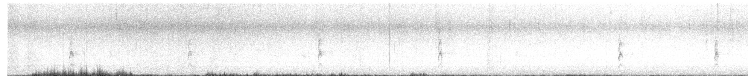 גיבתונית רוננת - ML646709823