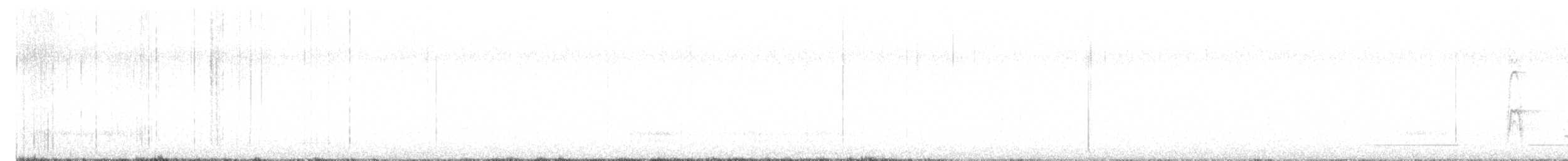 קיכלי נודד - ML646709957