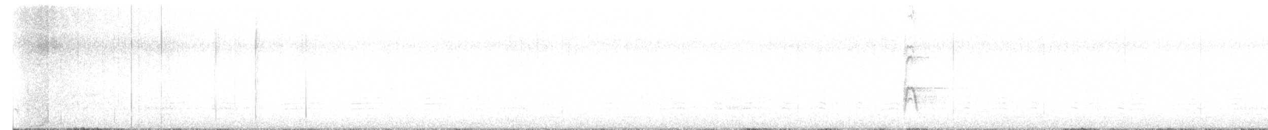 קיכלי נודד - ML646709958