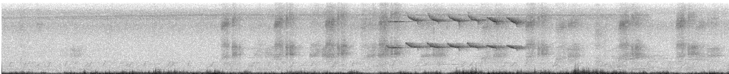 Masked Tityra - ML646710058