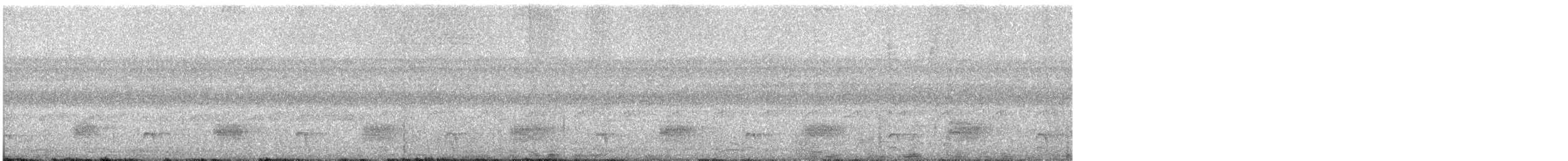 Gray Antbird - ML646710337