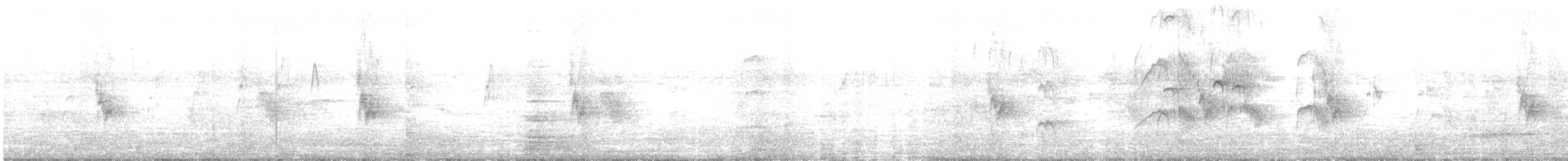 White-collared Swift - ML646710401