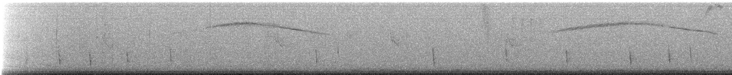 Hermit Thrush - ML646710772