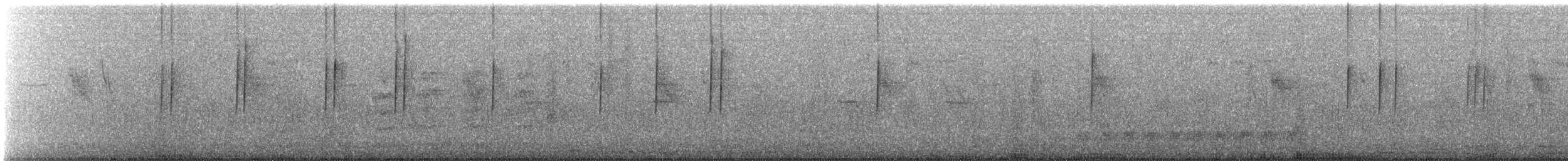 Costa's Hummingbird - ML646710917