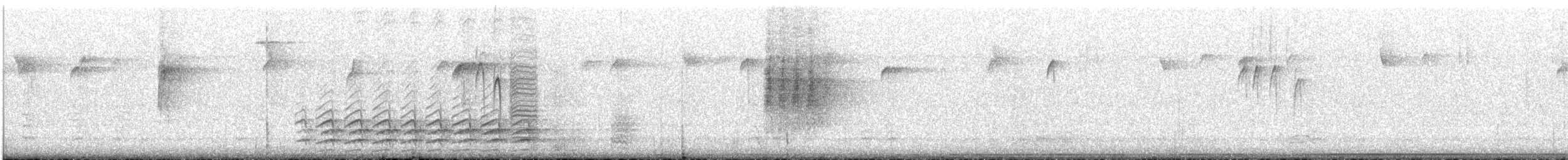 White-breasted Nuthatch - ML646711050