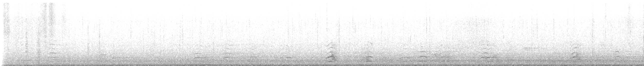 Snow Goose - ML646711052