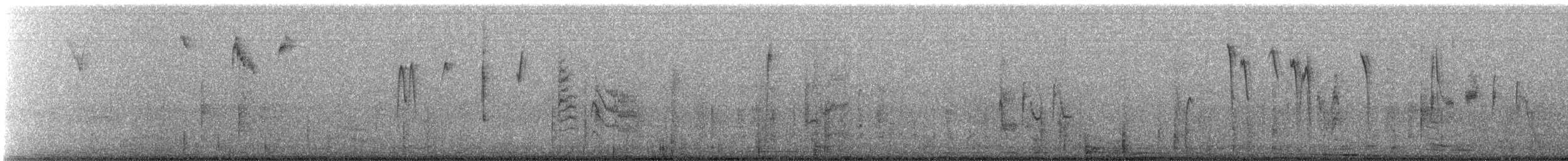 Perlita Grisilla (Occidental) - ML646711097