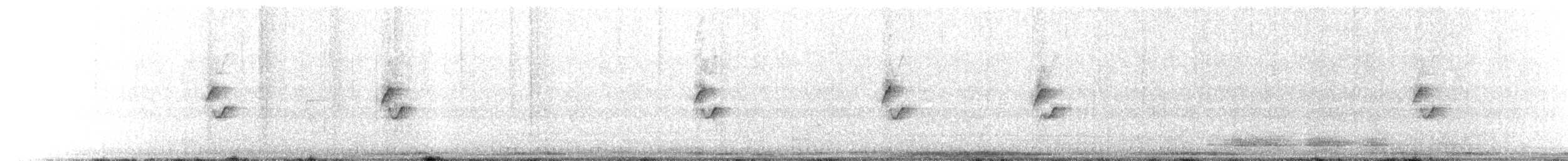 Txio arrunta - ML646711184