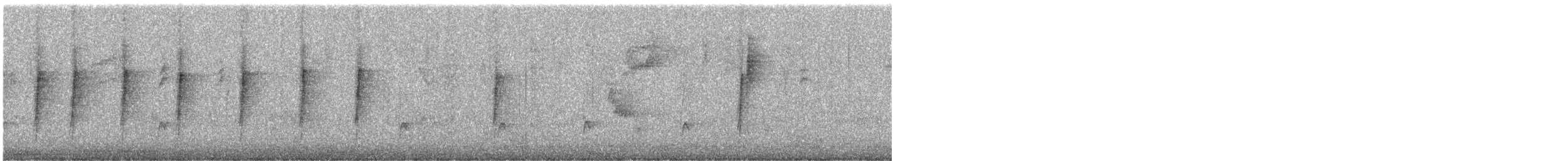 Bewick's Wren (mexicanus Group) - ML646711915