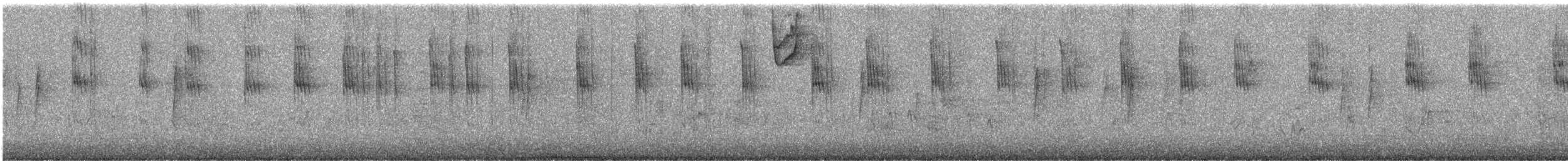 Berylline Hummingbird (Northern) - ML646711931