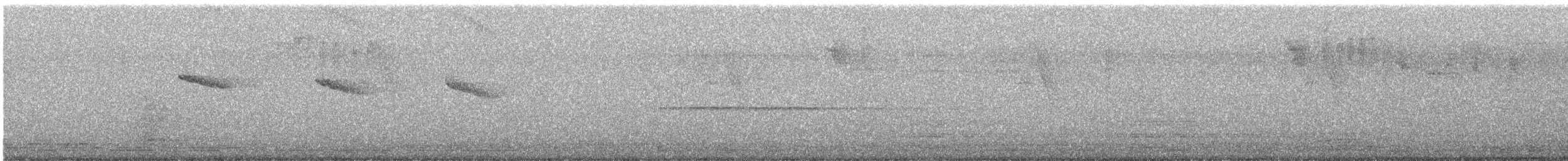 Amazilia Hummingbird - ML646711934