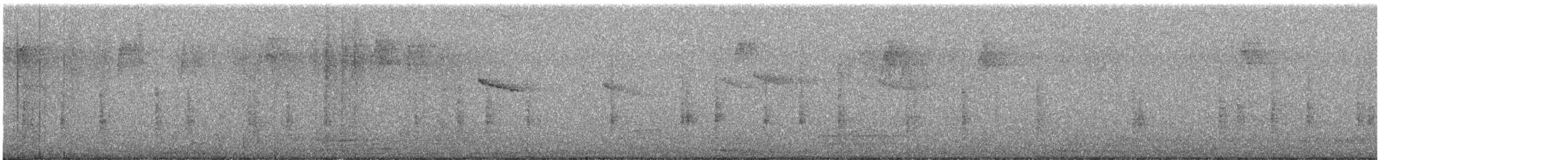 Southern House Wren - ML646711976