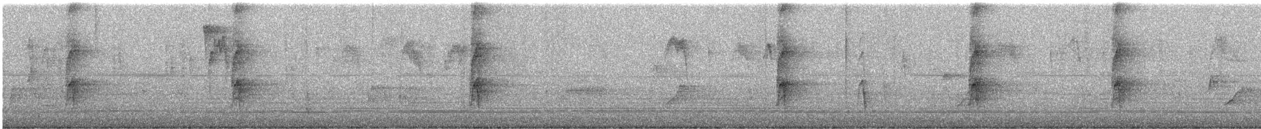 American Robin (migratorius Group) - ML646711983