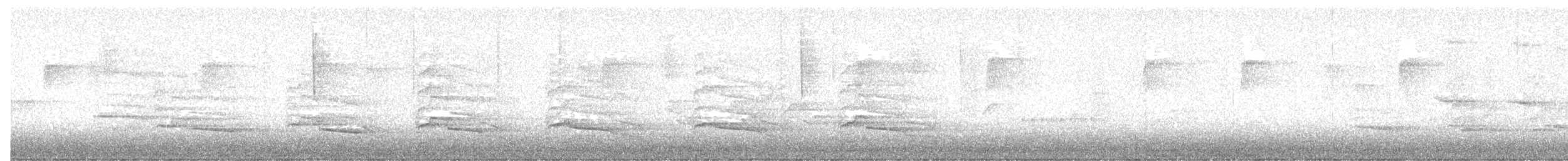 Red-shouldered Hawk - ML646711989