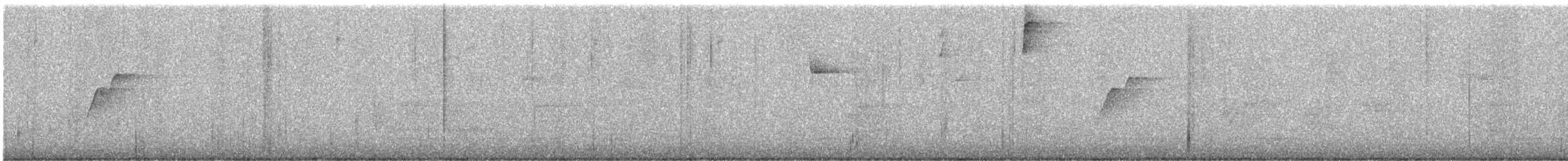 Western Flycatcher - ML646711995