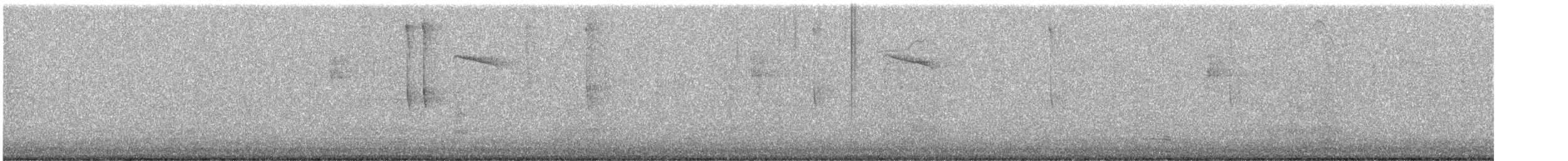 White-eared Hummingbird - ML646712003