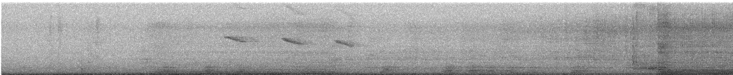 Amazilia Hummingbird - ML646712264