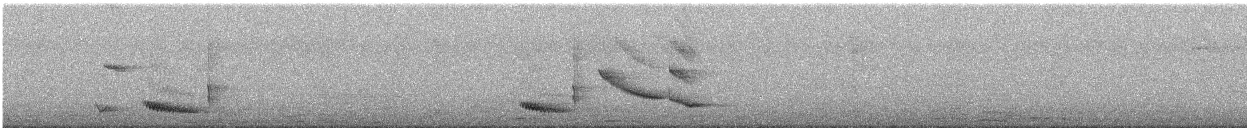 Long-tailed Mockingbird - ML646712425