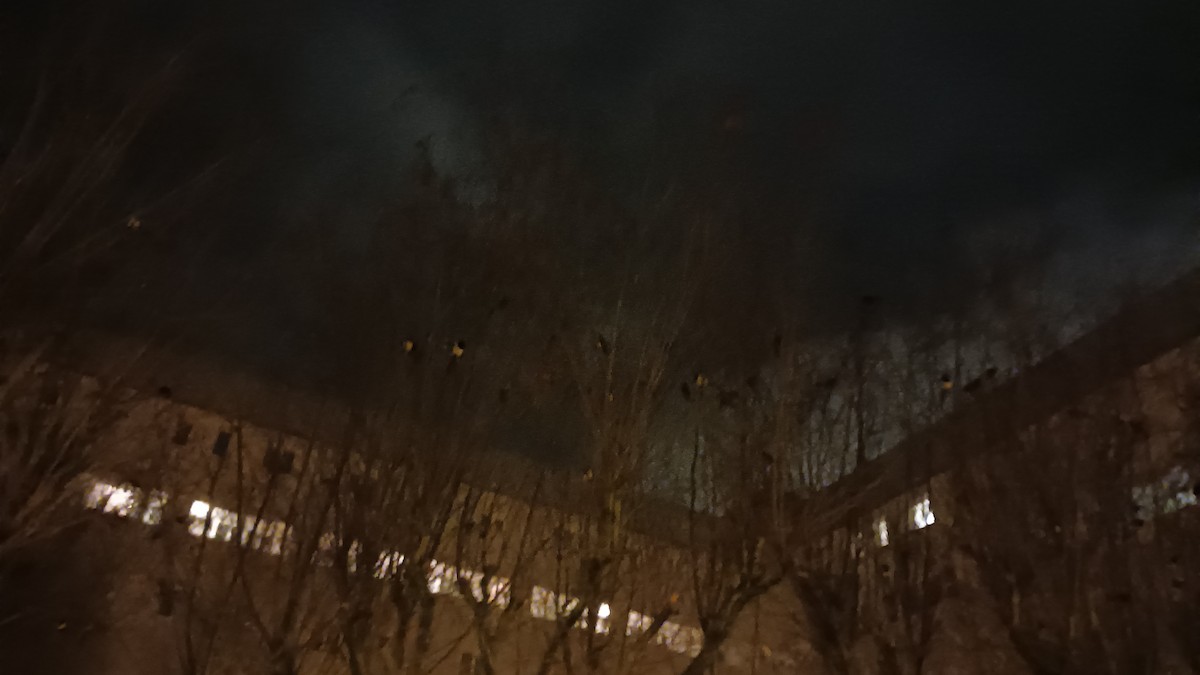 Eurasian Jackdaw - ML646712430