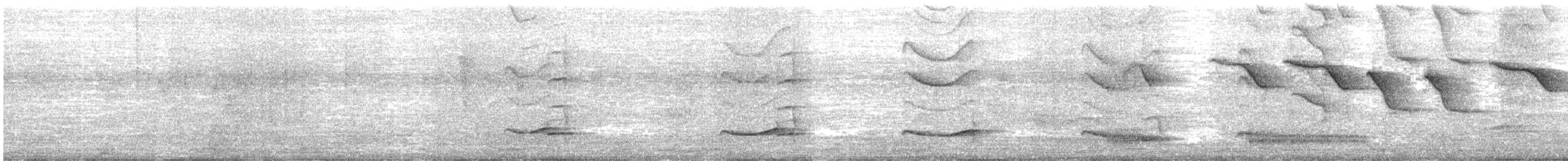 Pirincho - ML646712468