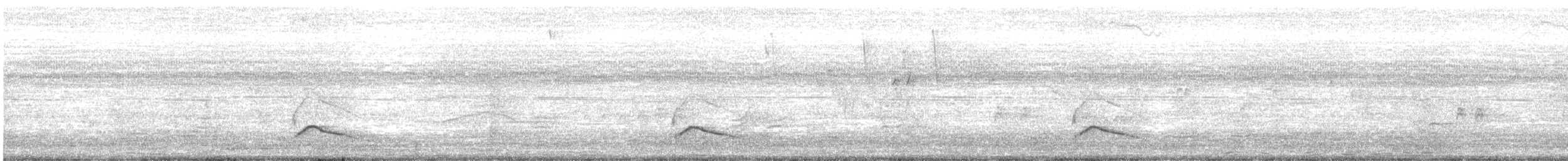 Fiofío Grande - ML646712580