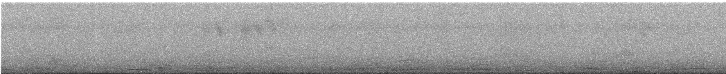 Amazilia Hummingbird - ML646712641