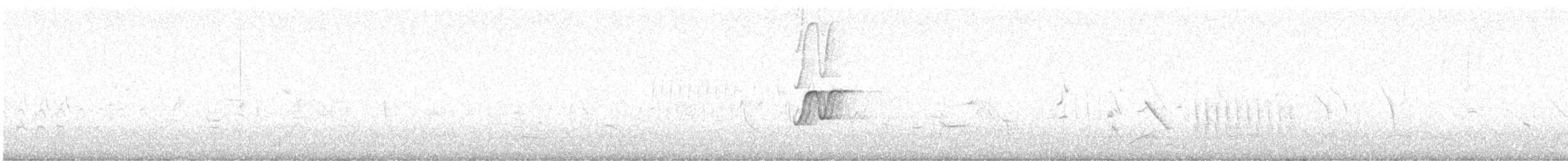 Chilean Tinamou - ML646712682