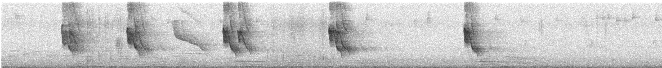 Scrub Blackbird - ML646712743