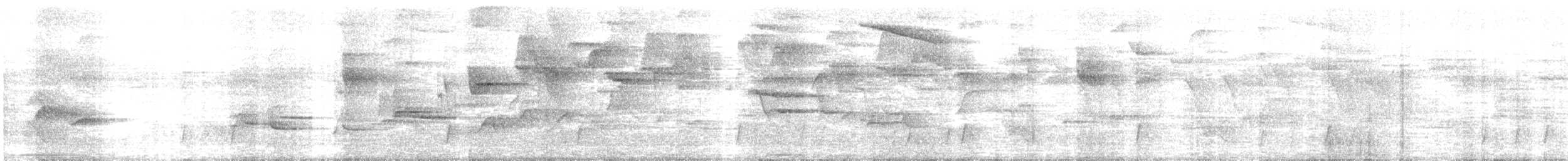 Zorzalito de Swainson - ML646712760