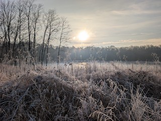 Patuxent Research Refuge--South Tract (National Wildlife Visitor Center ...
