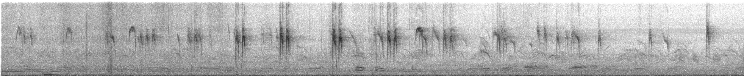 White Wagtail - ML646712964