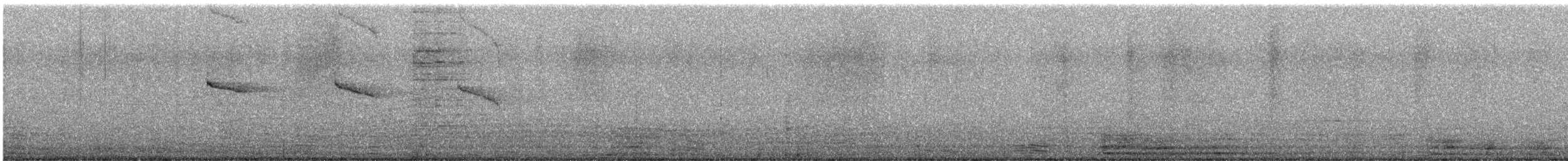 Amazilia Hummingbird - ML646713131