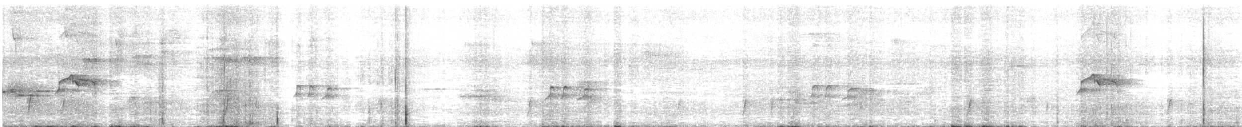 Mosquero Pirata - ML646713185