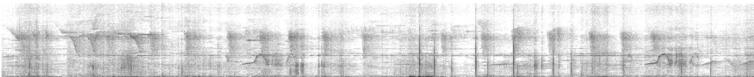 Highland Elaenia - ML646713190