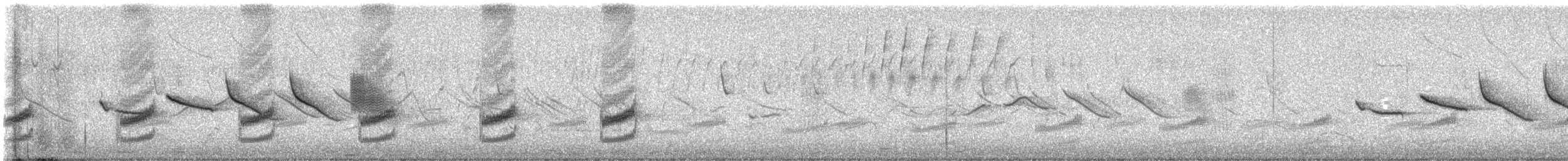 Dusky Tapaculo - ML646713192