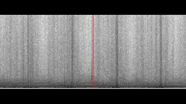 Rufous-browed Peppershrike - ML646713445