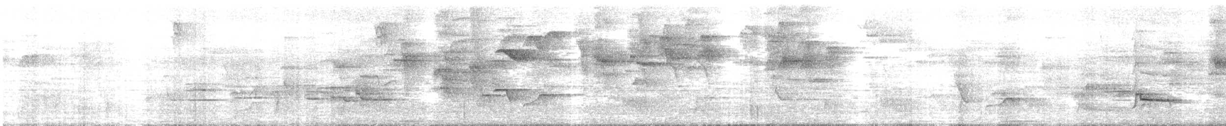 Zorzal Plomizo Andino - ML646713619