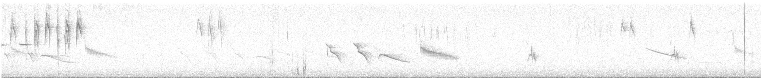 Tamarugo Conebill - ML646713821