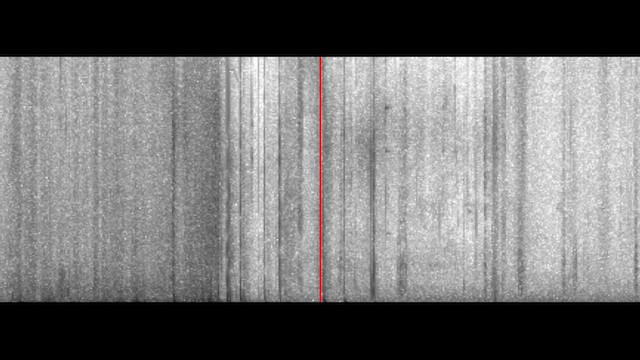 Mangrove Vireo - ML646713881