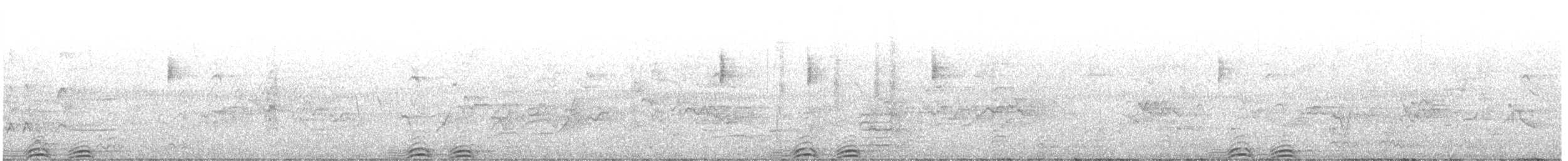 Ninoxe aboyeuse - ML646713946