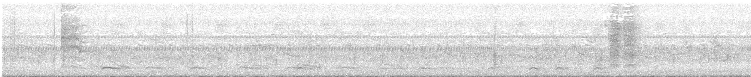 Common Grackle - ML646714005