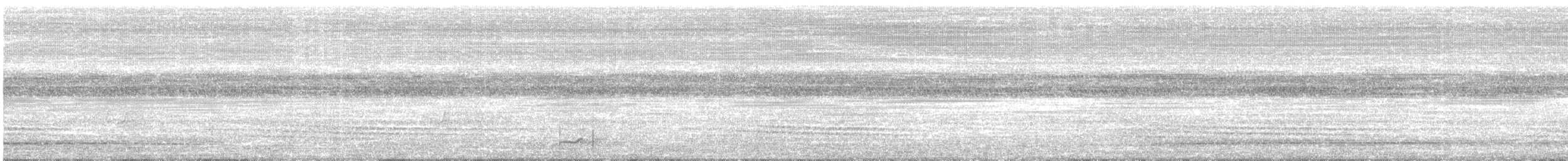 Añapero Colicorto - ML646714024